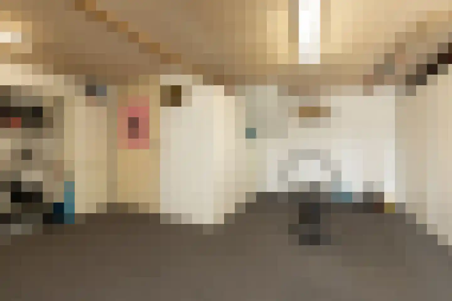 Parelmoervlinder 3 Sneek thumbnail 33
