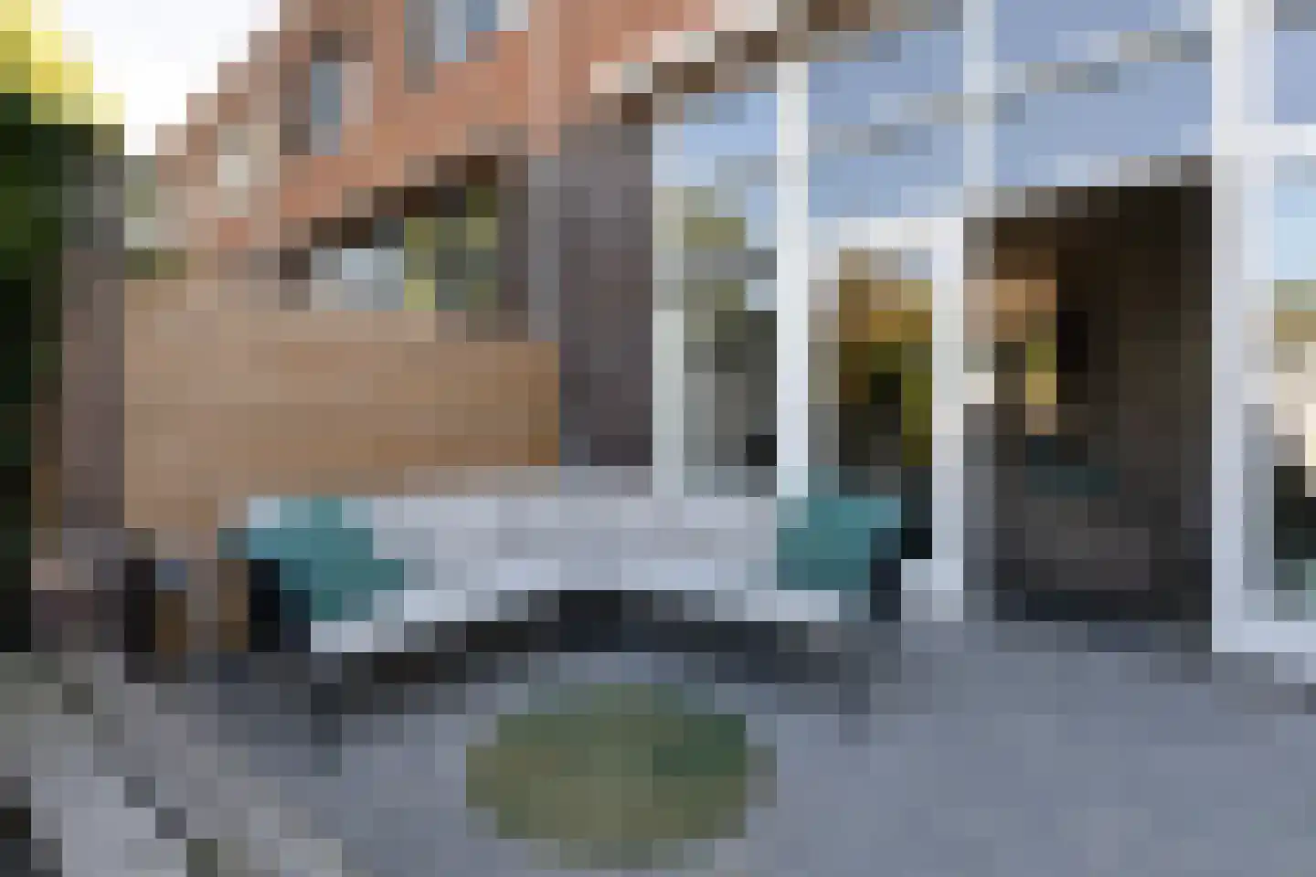 Parelmoervlinder 3 Sneek thumbnail 34