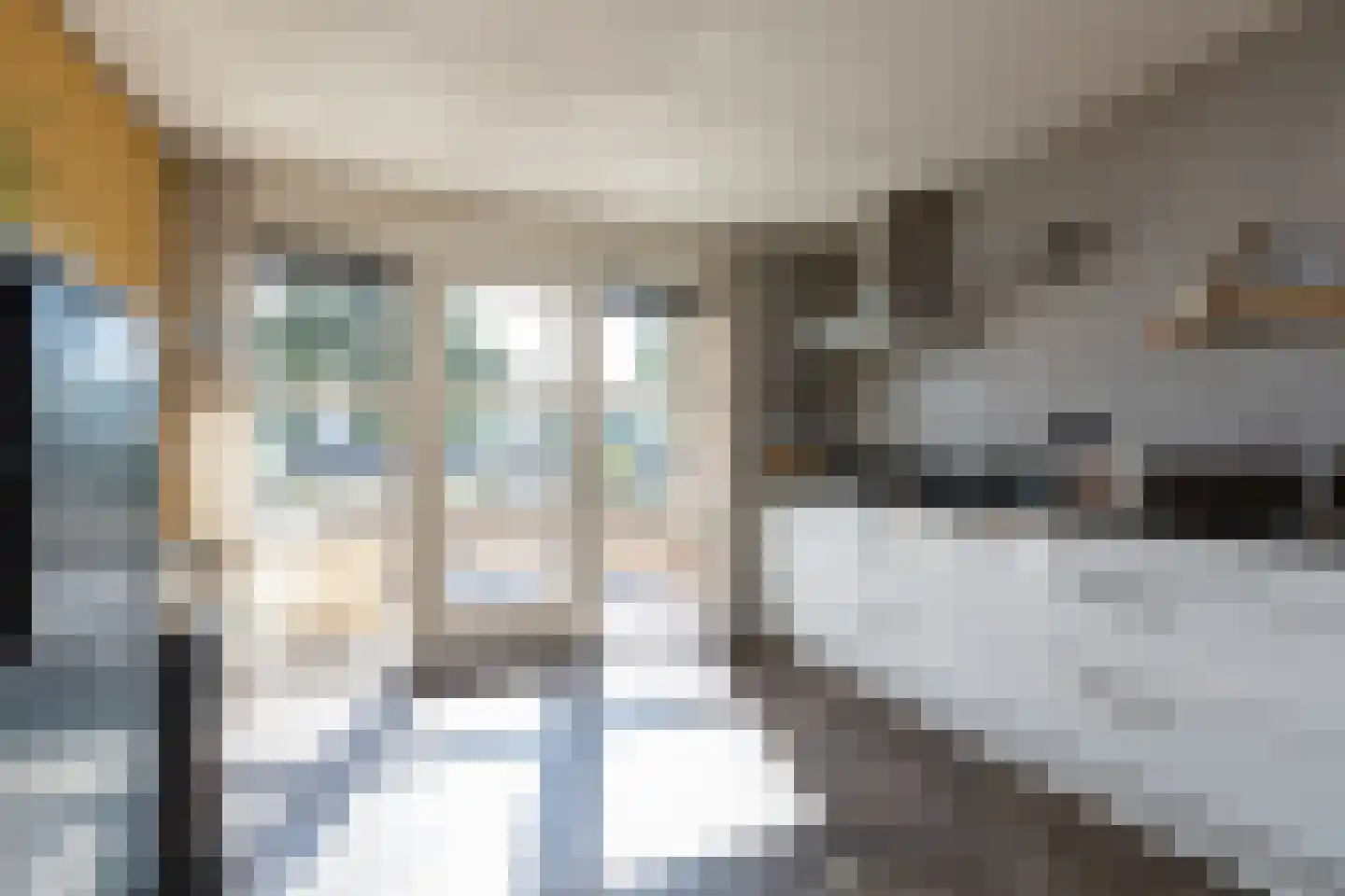 Parelmoervlinder 3 Sneek thumbnail 4