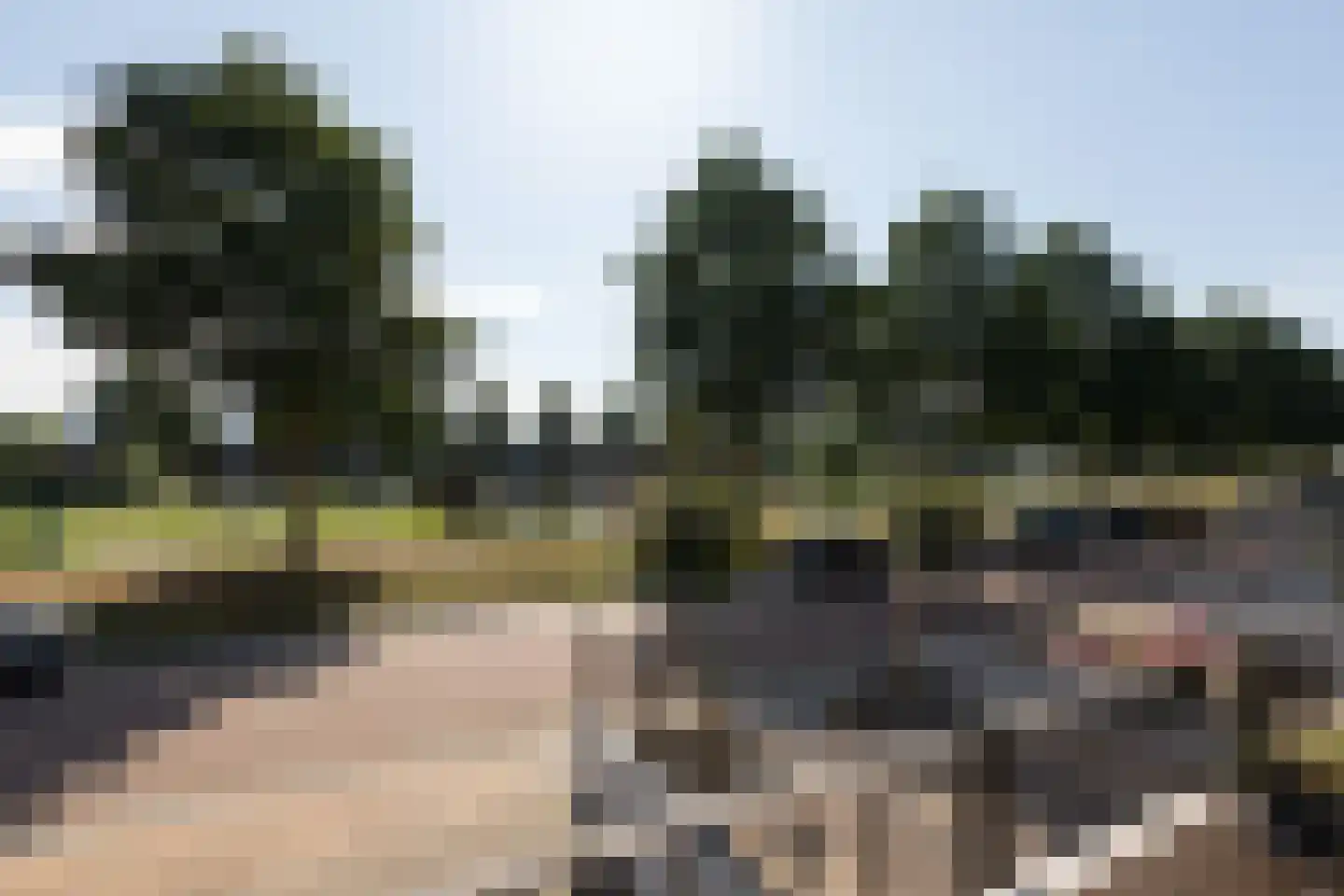 Parelmoervlinder 3 Sneek thumbnail 40