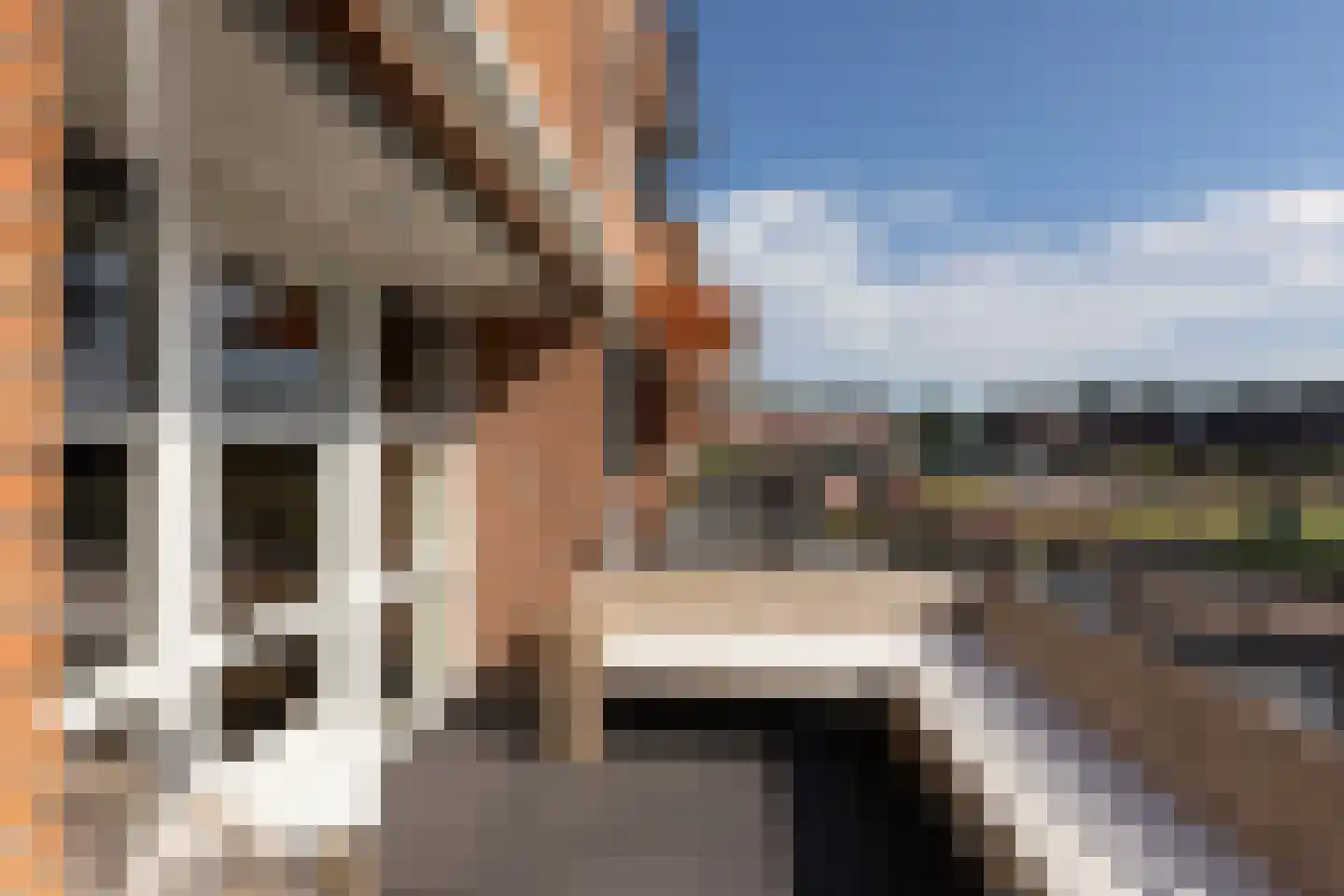 Parelmoervlinder 3 Sneek thumbnail 41