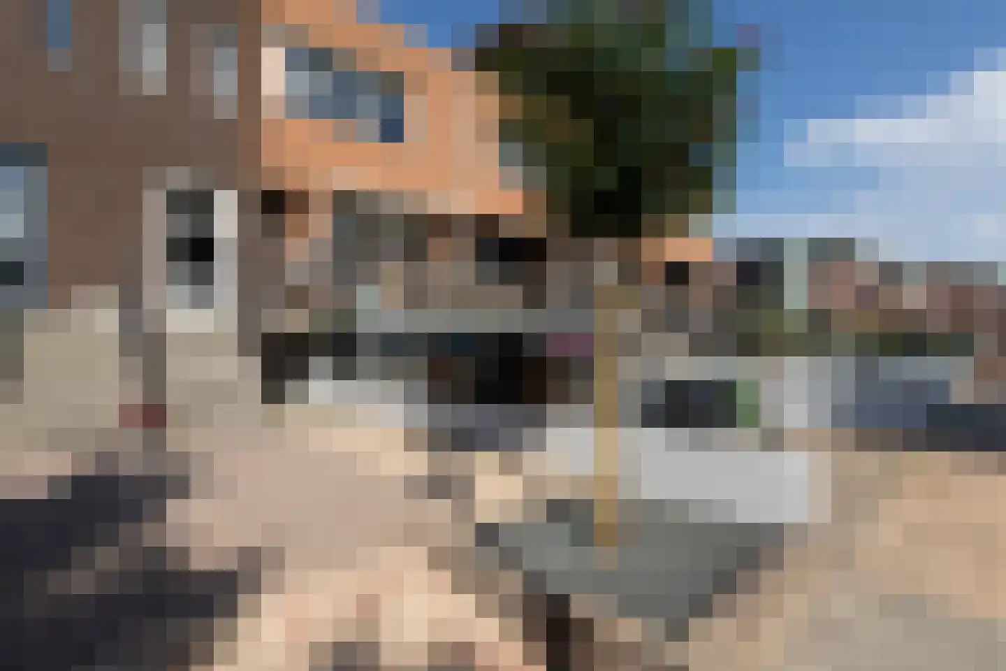 Parelmoervlinder 3 Sneek thumbnail 42