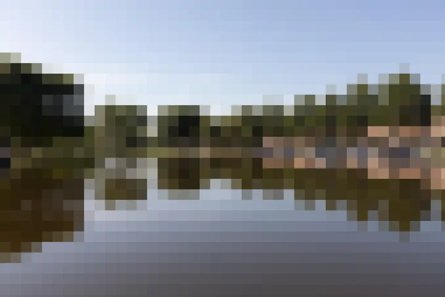 Parelmoervlinder 3 Sneek thumbnail 46