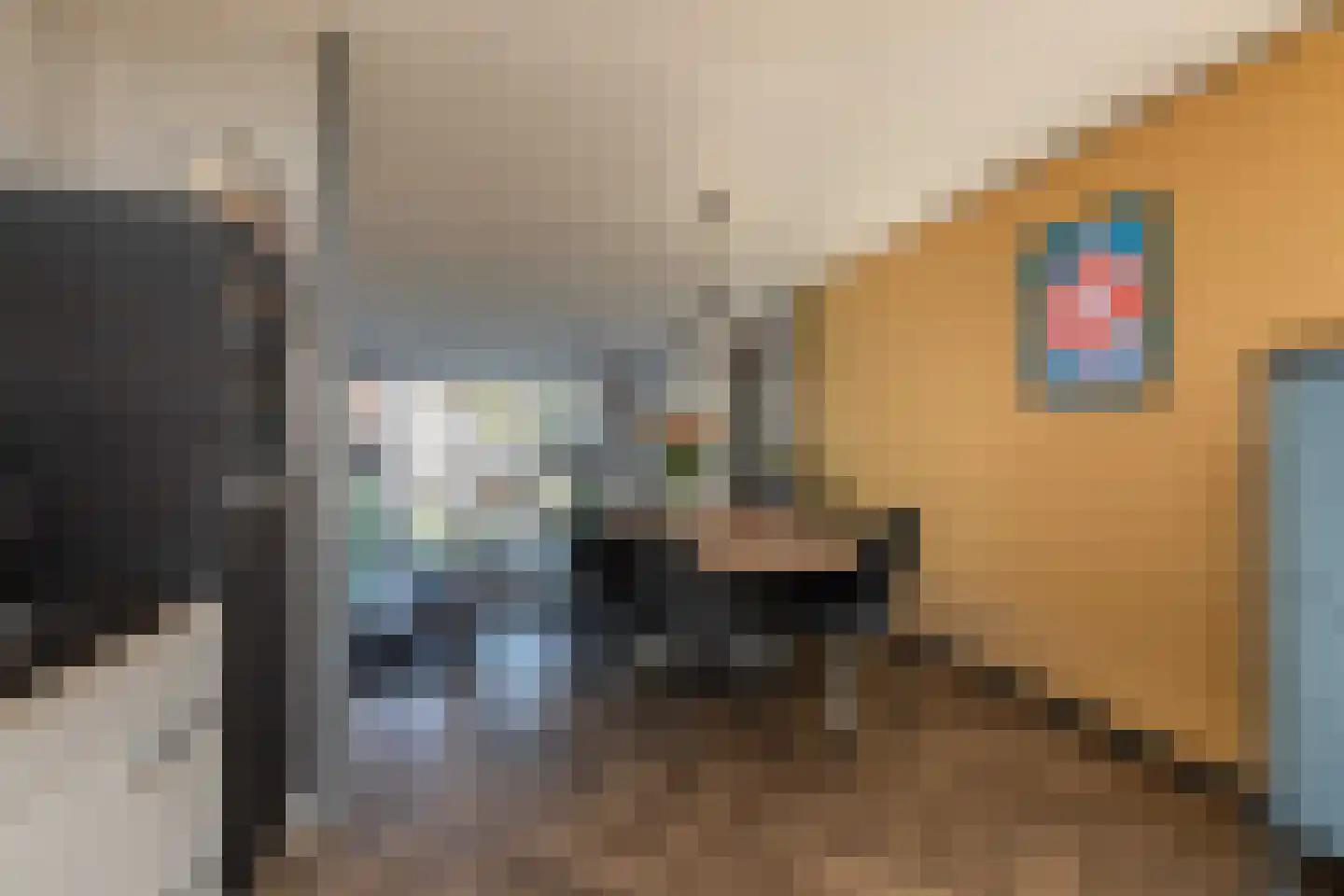 Parelmoervlinder 3 Sneek thumbnail 5