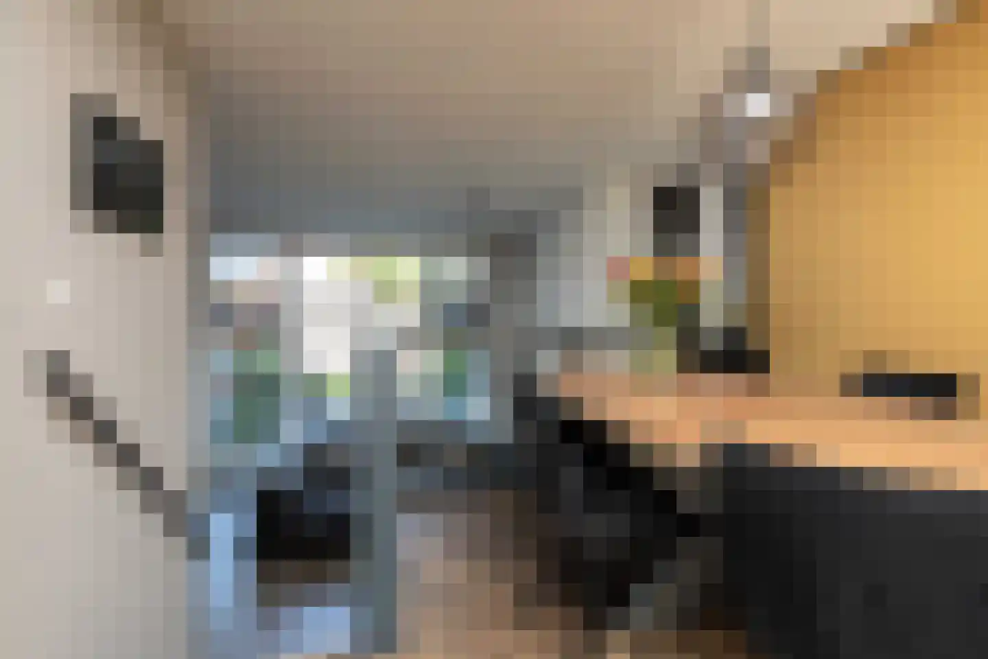 Parelmoervlinder 3 Sneek thumbnail 6