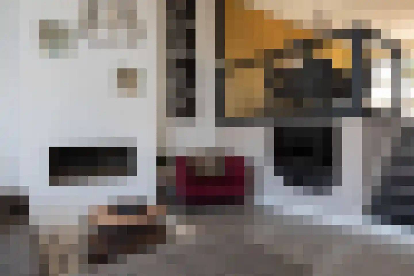 Parelmoervlinder 3 Sneek thumbnail 7