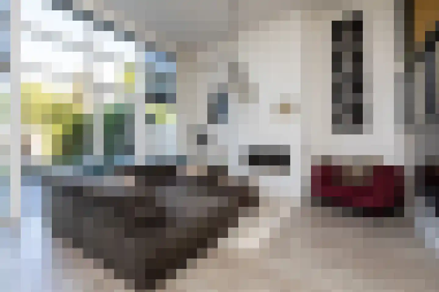 Parelmoervlinder 3 Sneek thumbnail 9