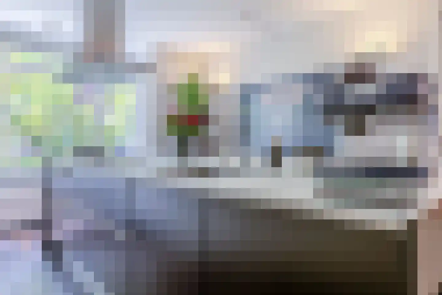 Parelmoervlinder 32 Oosterhout thumbnail 13