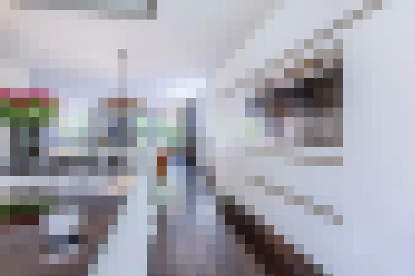 Parelmoervlinder 32 Oosterhout thumbnail 15