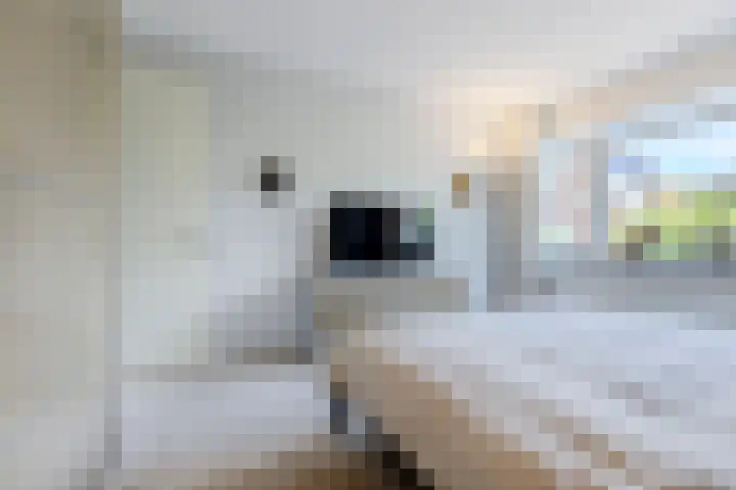 Parelmoervlinder 32 Oosterhout thumbnail 25