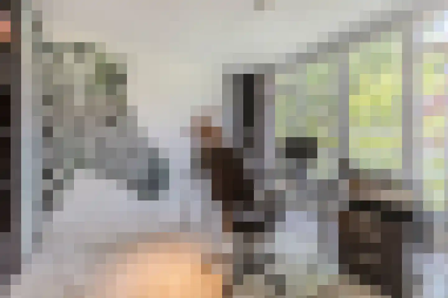 Parelmoervlinder 32 Oosterhout thumbnail 28
