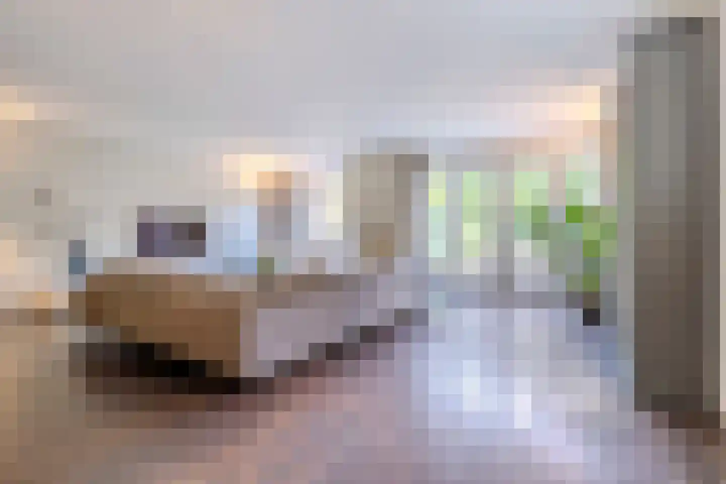 Parelmoervlinder 32 Oosterhout thumbnail 4