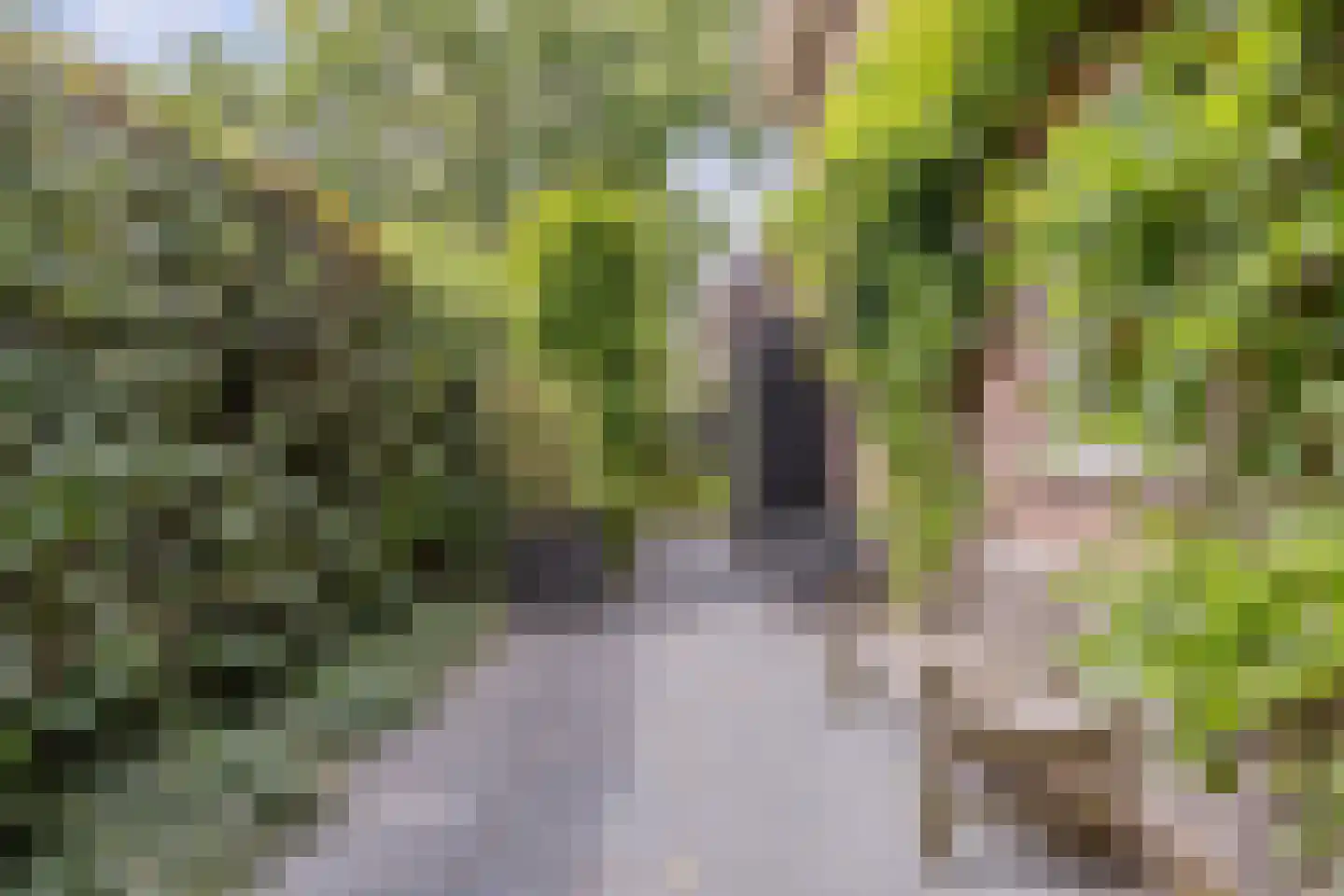 Parelmoervlinder 32 Oosterhout thumbnail 49