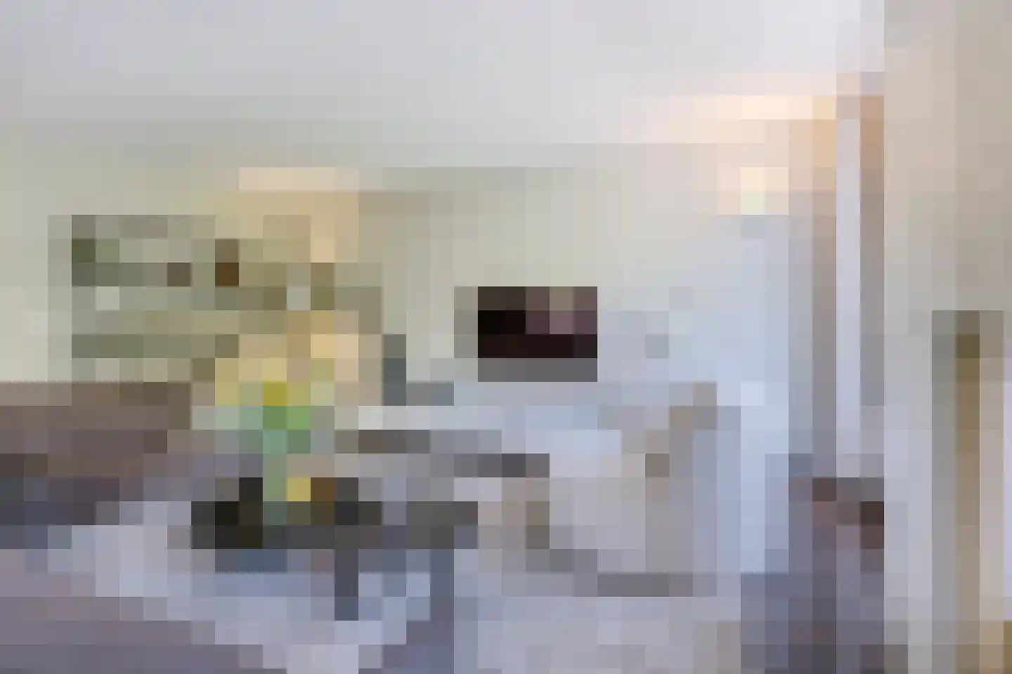 Parelmoervlinder 32 Oosterhout thumbnail 5