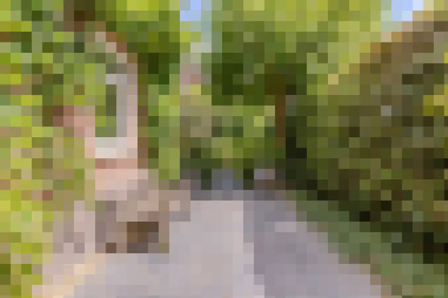 Parelmoervlinder 32 Oosterhout thumbnail 50