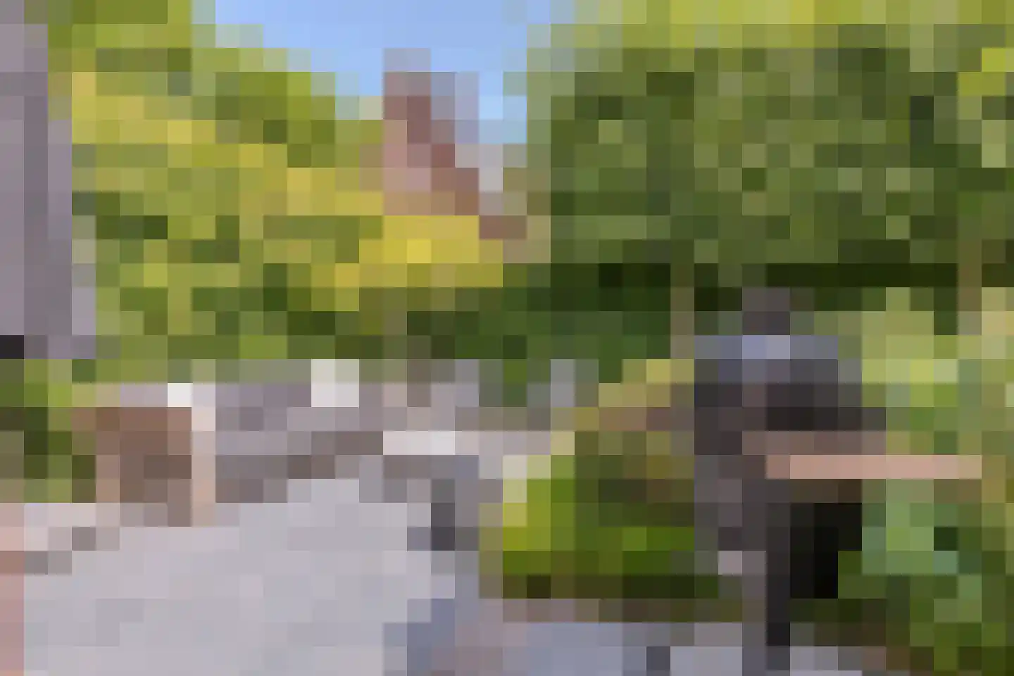 Parelmoervlinder 32 Oosterhout thumbnail 51
