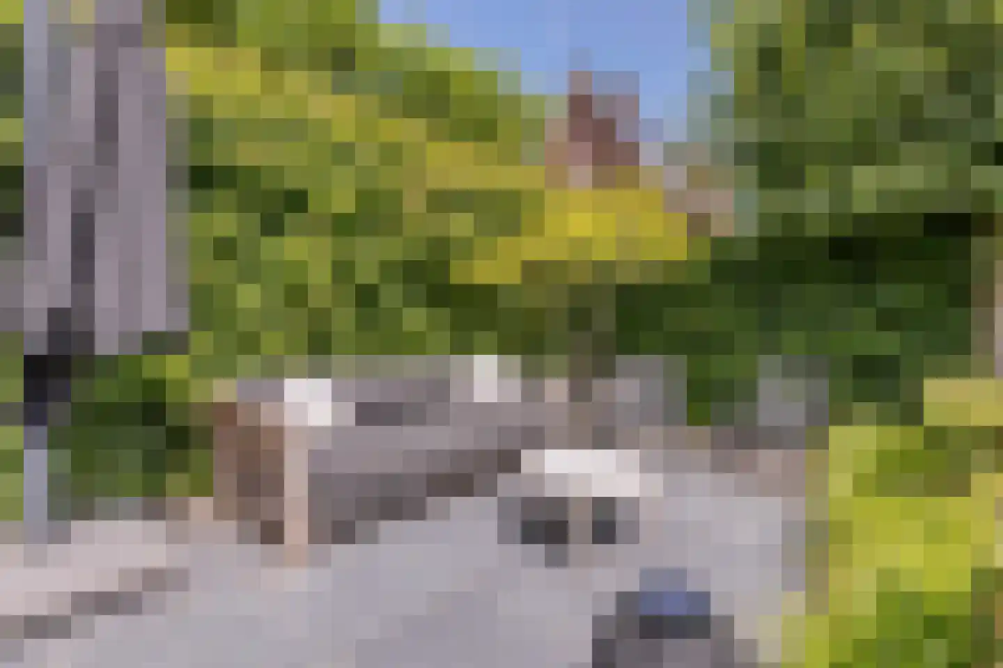 Parelmoervlinder 32 Oosterhout thumbnail 52