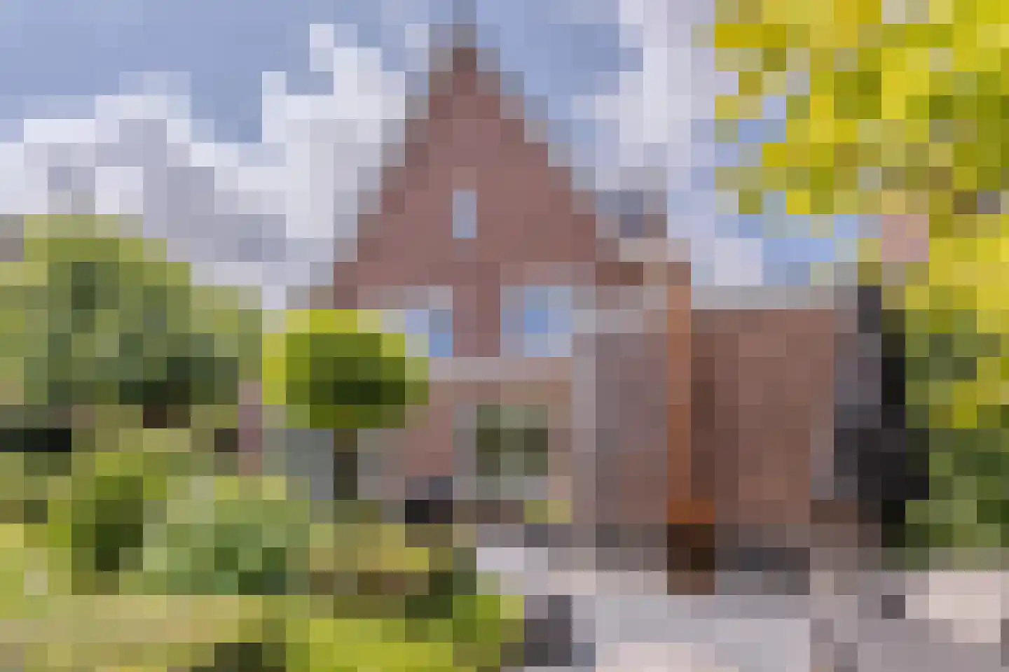Parelmoervlinder 32 Oosterhout thumbnail 53