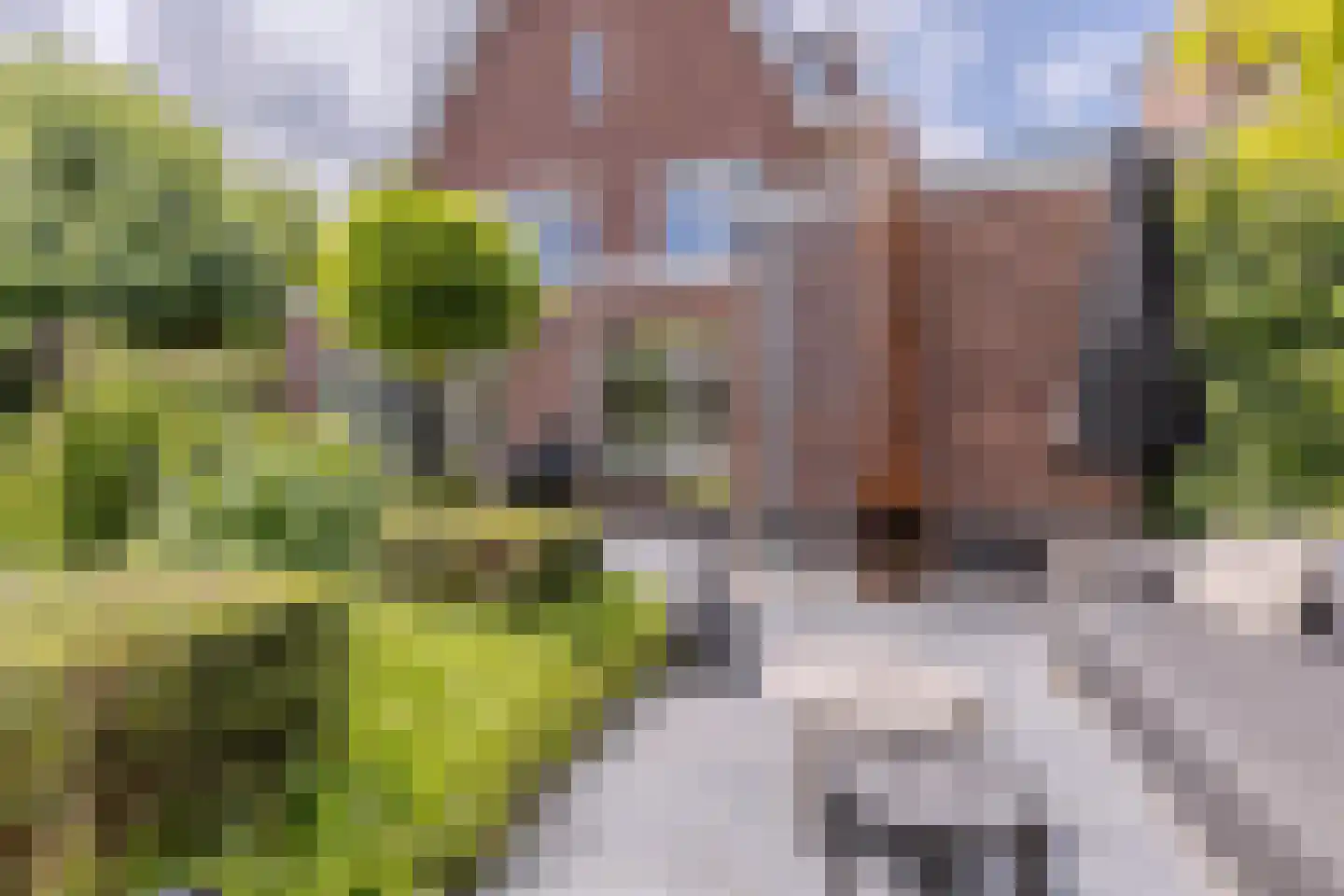 Parelmoervlinder 32 Oosterhout thumbnail 54