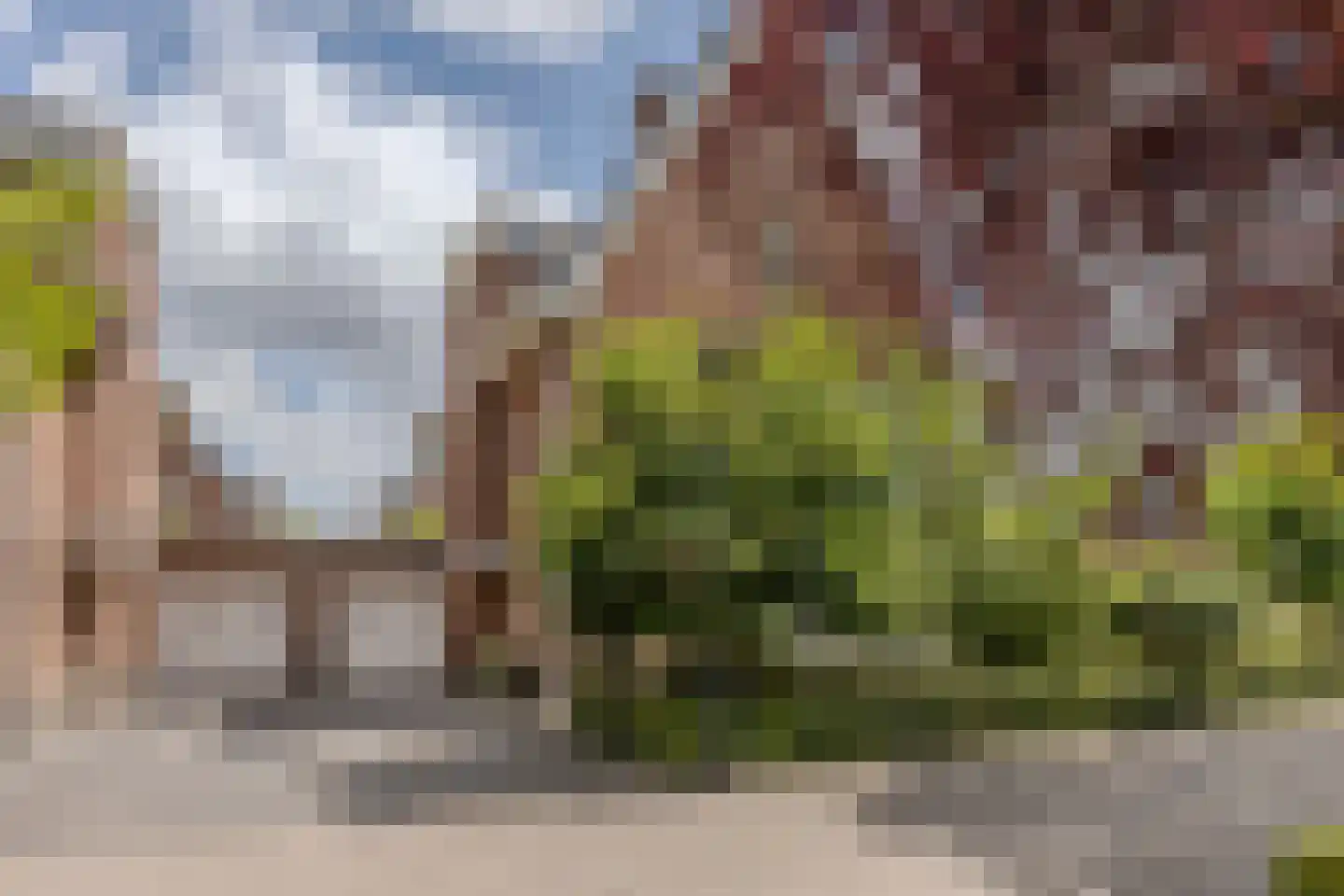 Parelmoervlinder 32 Oosterhout thumbnail 61