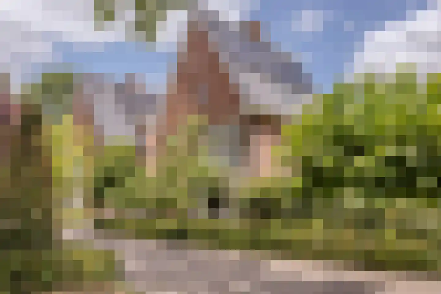 Parelmoervlinder 32 Oosterhout thumbnail 62