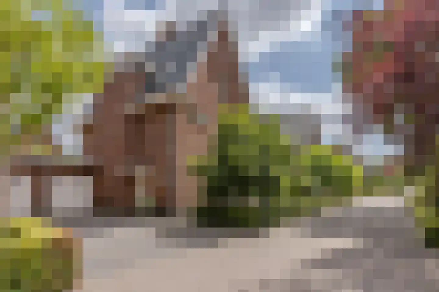 Parelmoervlinder 32 Oosterhout thumbnail 63