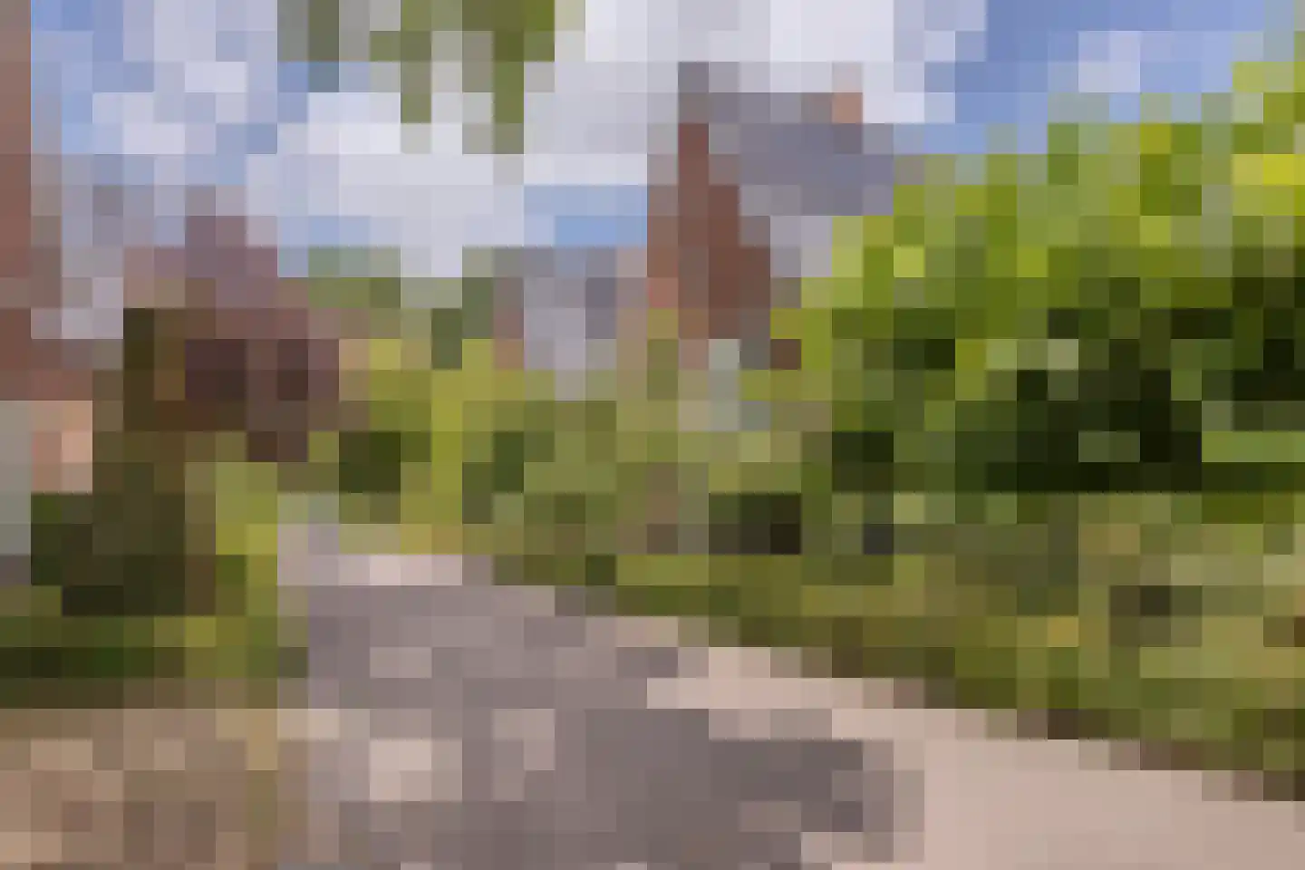 Parelmoervlinder 32 Oosterhout thumbnail 64