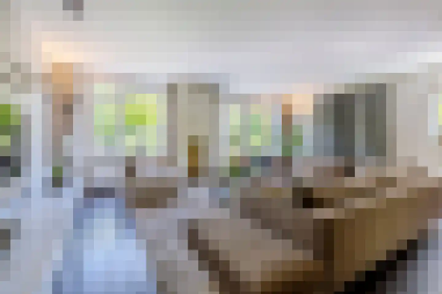 Parelmoervlinder 32 Oosterhout thumbnail 7