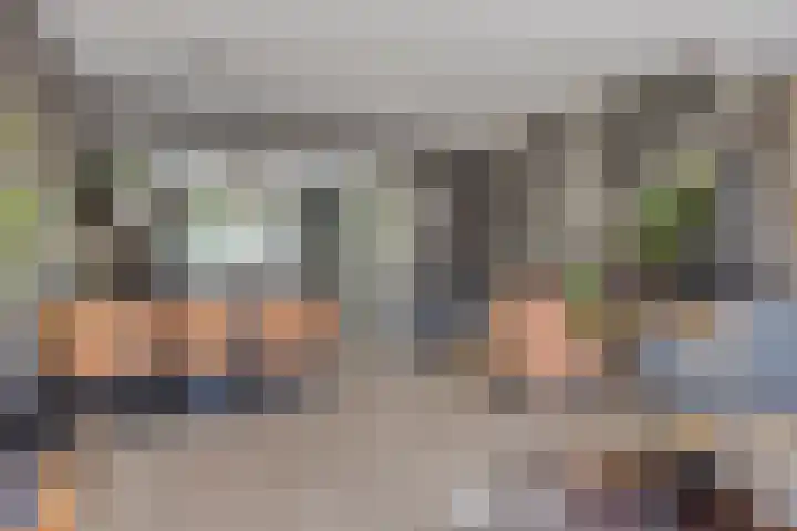 Parelmoervlinder 47 Oosterhout thumbnail 11