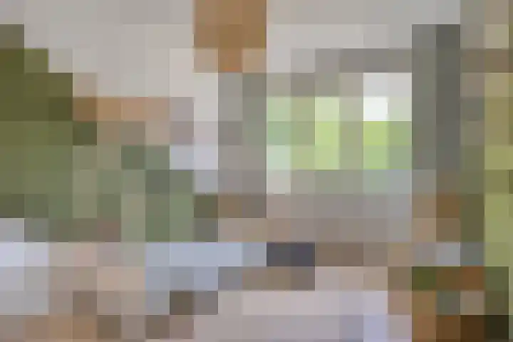 Parelmoervlinder 47 Oosterhout thumbnail 15