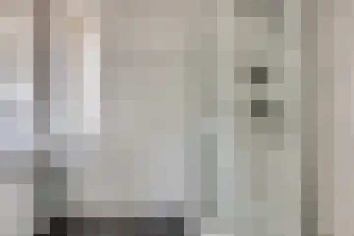 Parelmoervlinder 47 Oosterhout thumbnail 18