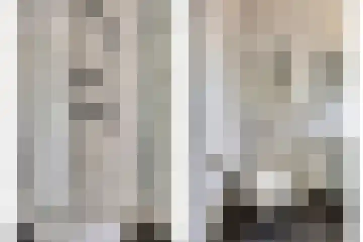 Parelmoervlinder 47 Oosterhout thumbnail 19
