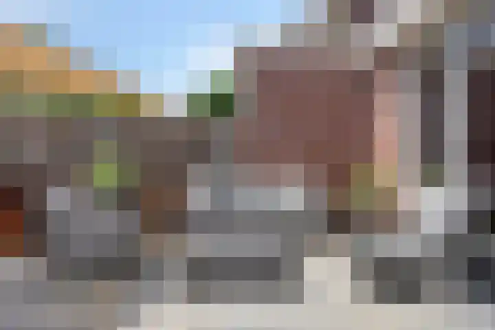 Parelmoervlinder 47 Oosterhout thumbnail 21