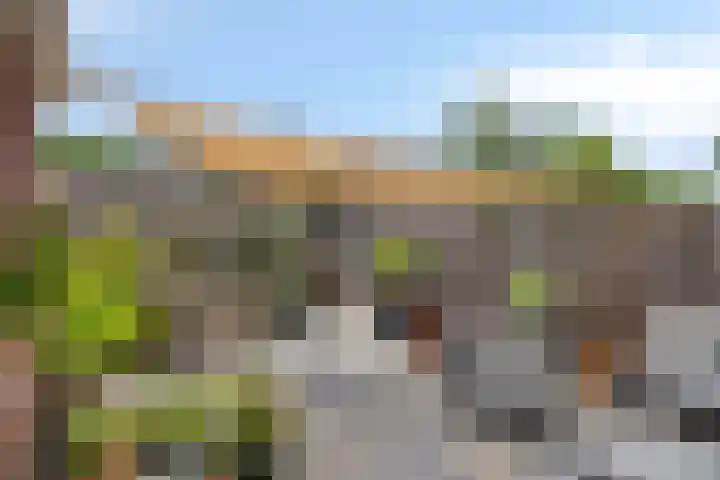 Parelmoervlinder 47 Oosterhout thumbnail 22