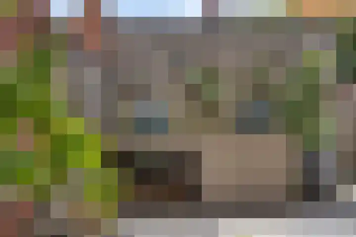 Parelmoervlinder 47 Oosterhout thumbnail 23