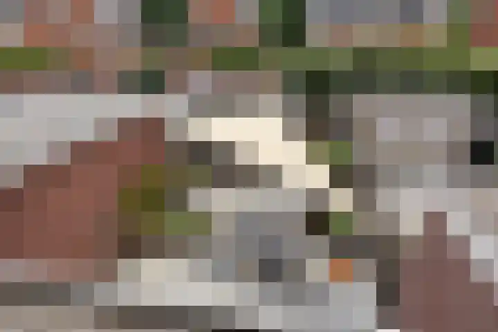 Parelmoervlinder 47 Oosterhout thumbnail 24