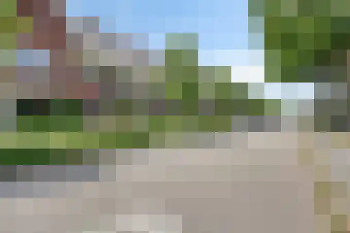 Parelmoervlinder 47 Oosterhout thumbnail 25