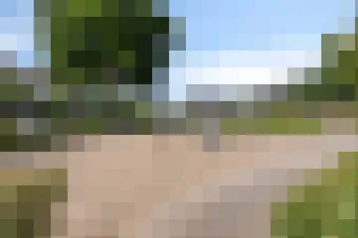 Parelmoervlinder 47 Oosterhout thumbnail 26
