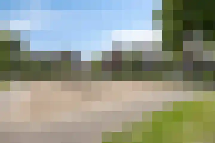 Parelmoervlinder 47 Oosterhout thumbnail 27