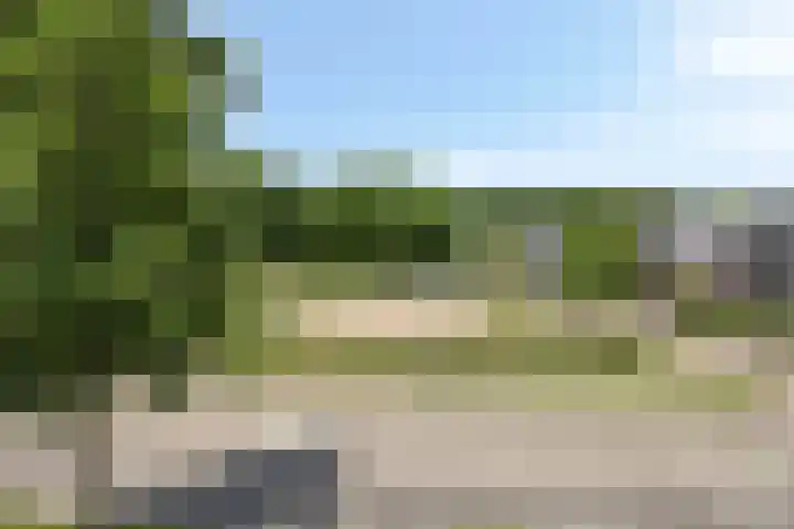 Parelmoervlinder 47 Oosterhout thumbnail 28