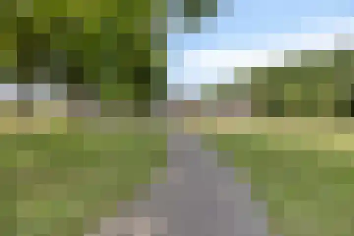 Parelmoervlinder 47 Oosterhout thumbnail 29