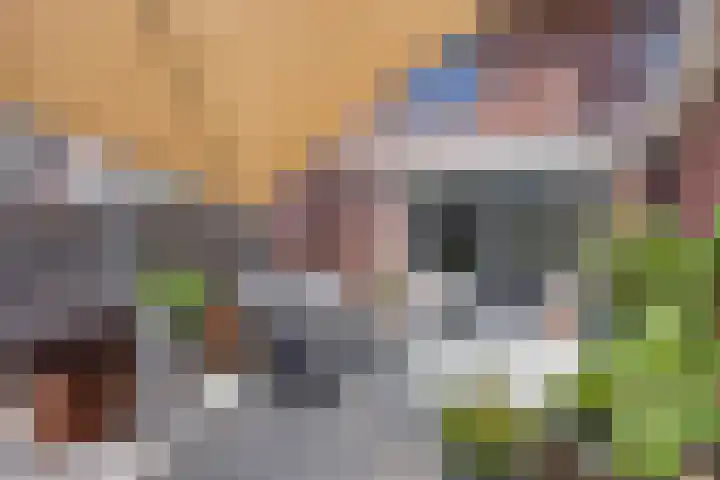 Parelmoervlinder 47 Oosterhout thumbnail 5