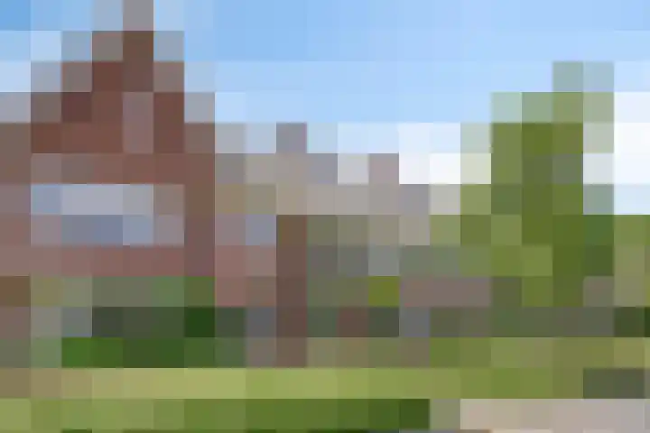 Parelmoervlinder 47 Oosterhout thumbnail 6