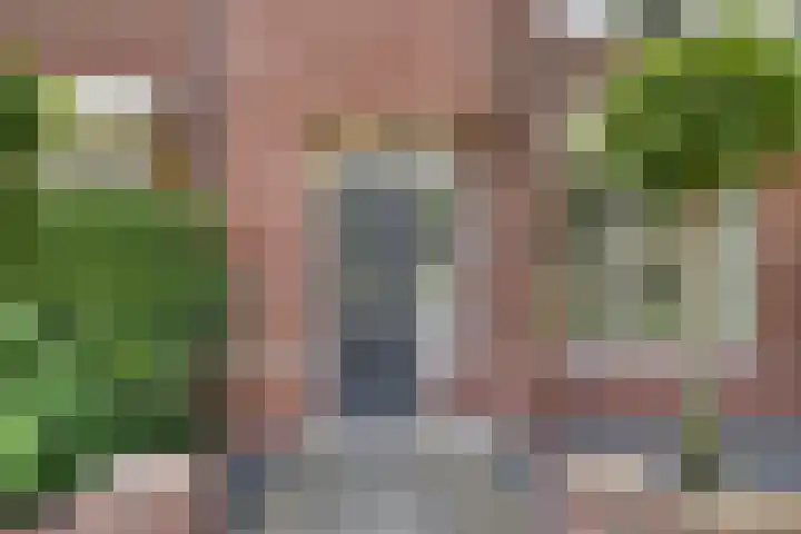 Parelmoervlinder 47 Oosterhout thumbnail 7