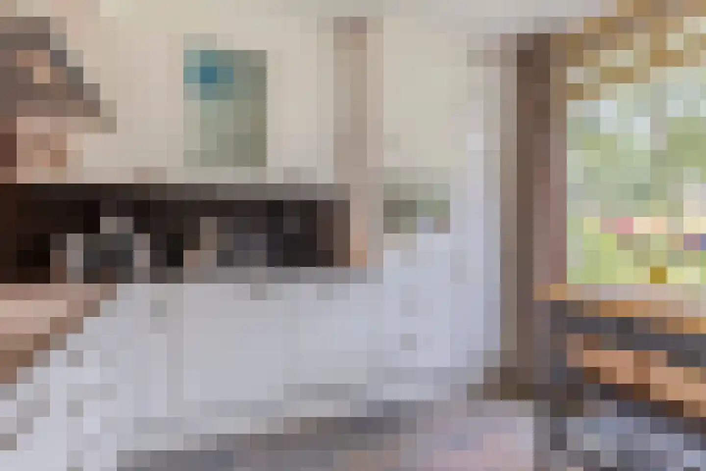 Parelmoervlinder 49 Oosterhout thumbnail 12