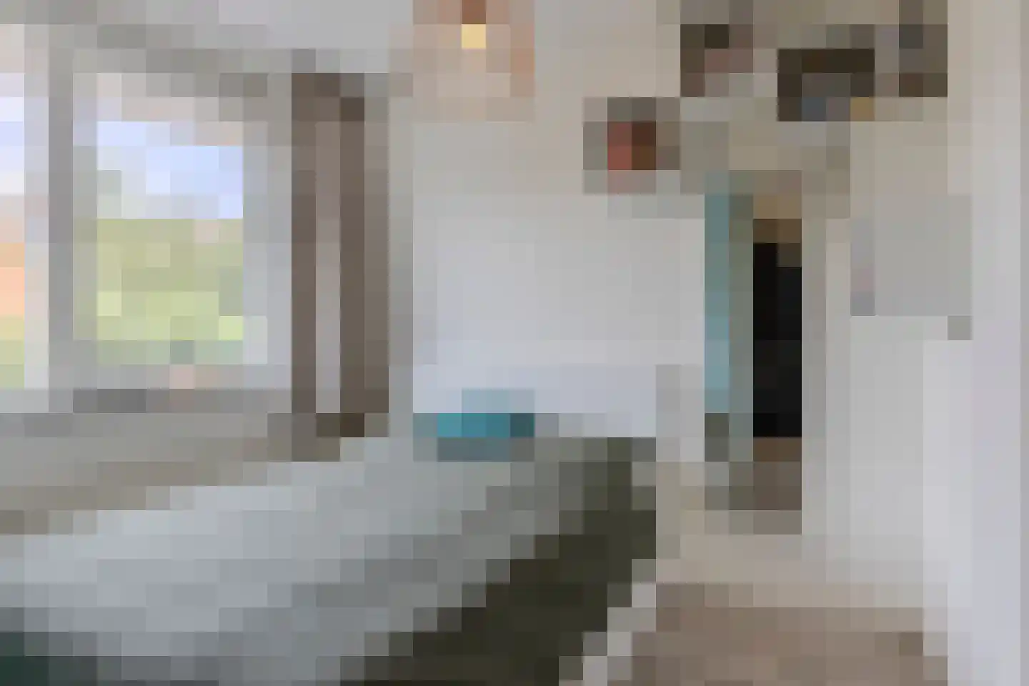 Parelmoervlinder 49 Oosterhout thumbnail 22