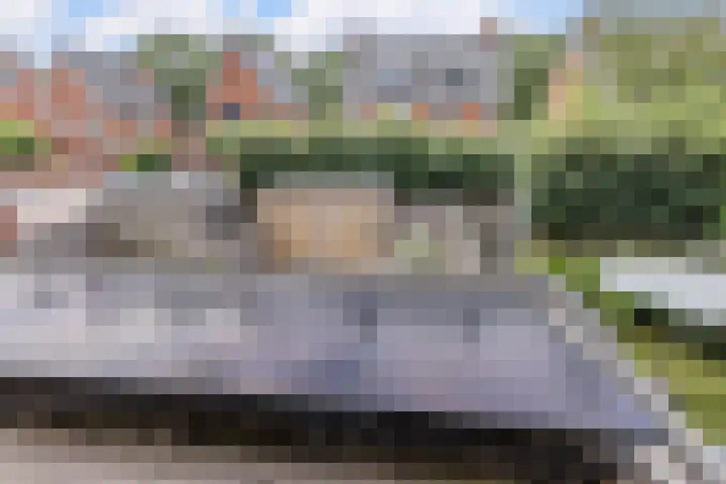 Parelmoervlinder 49 Oosterhout thumbnail 34