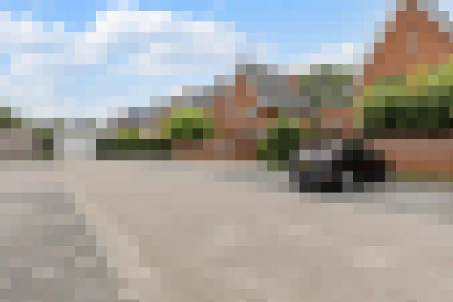 Parelmoervlinder 49 Oosterhout thumbnail 36