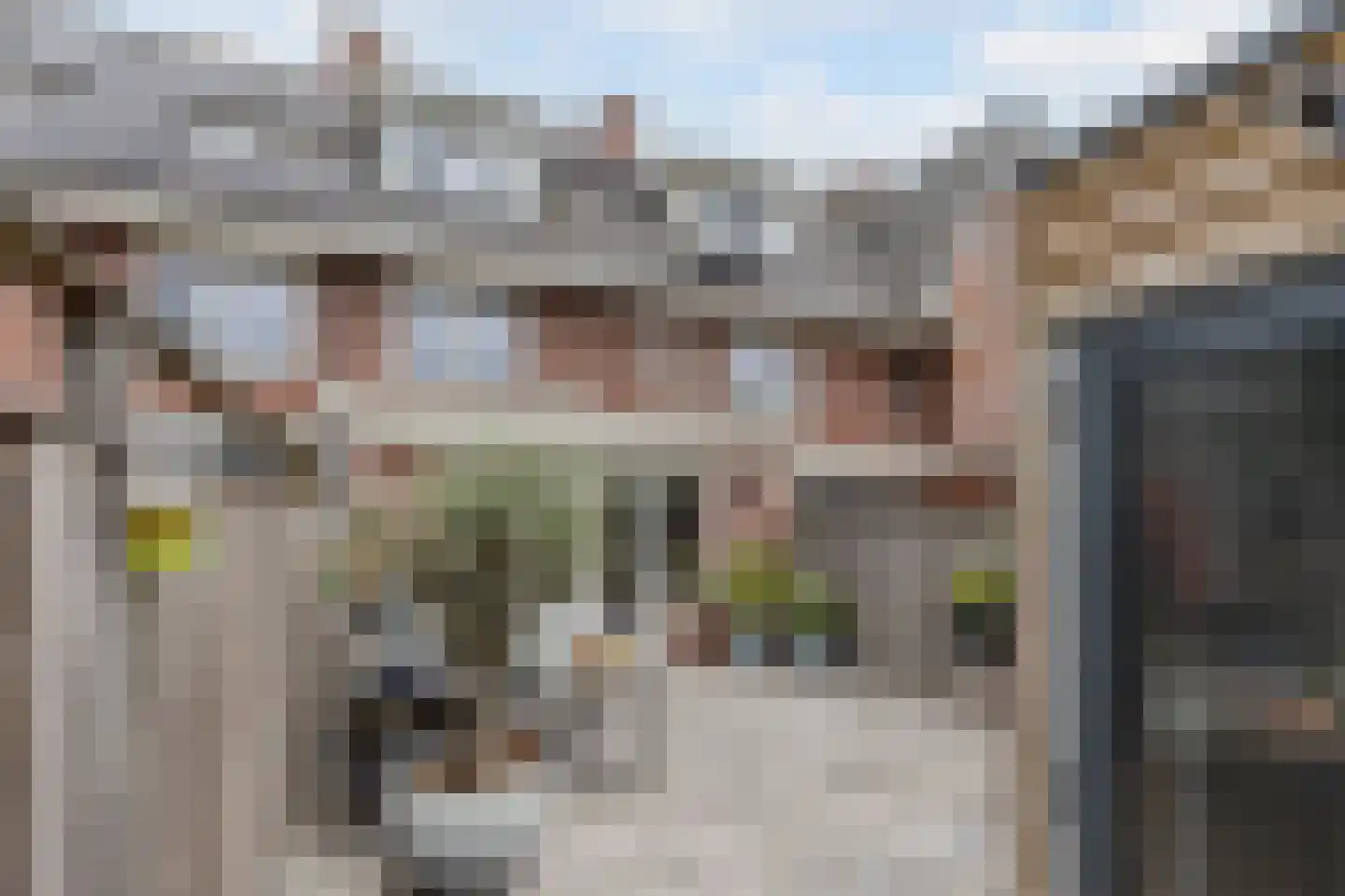 Parelmoervlinder 49 Oosterhout thumbnail 37