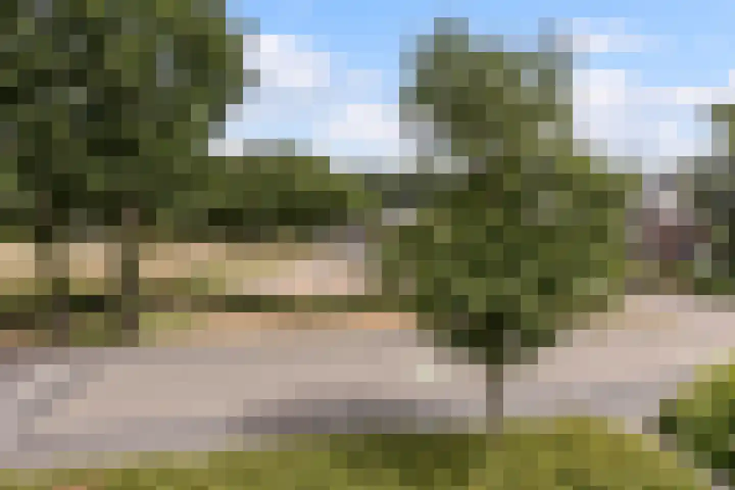 Parelmoervlinder 49 Oosterhout thumbnail 40